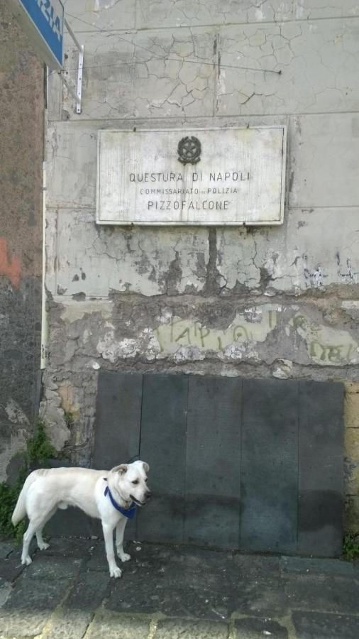 Casa Antica Pizzofalcone Villa Napoli Dış mekan fotoğraf